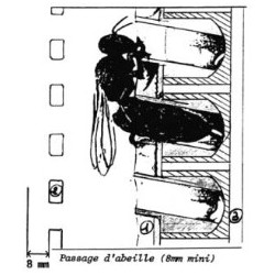 cupularve-système d'élevage plastique