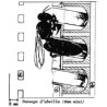 cupularve-système d'élevage plastique