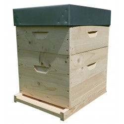 vente Ruche Langstroth 10 cadres droit chez rds apiculture