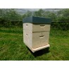 vente Ruche Langstroth 10 cadres droit chez rds apiculture