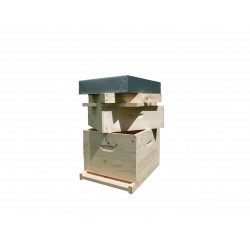 vente Ruche Langstroth 10 cadres droit chez rds apiculture