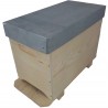 Achat ruchette Langstroth 6 cadres chez rds apiculture