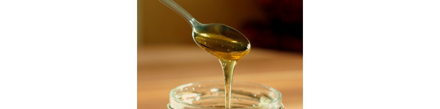 Achat produits de nourrissement des abeilles